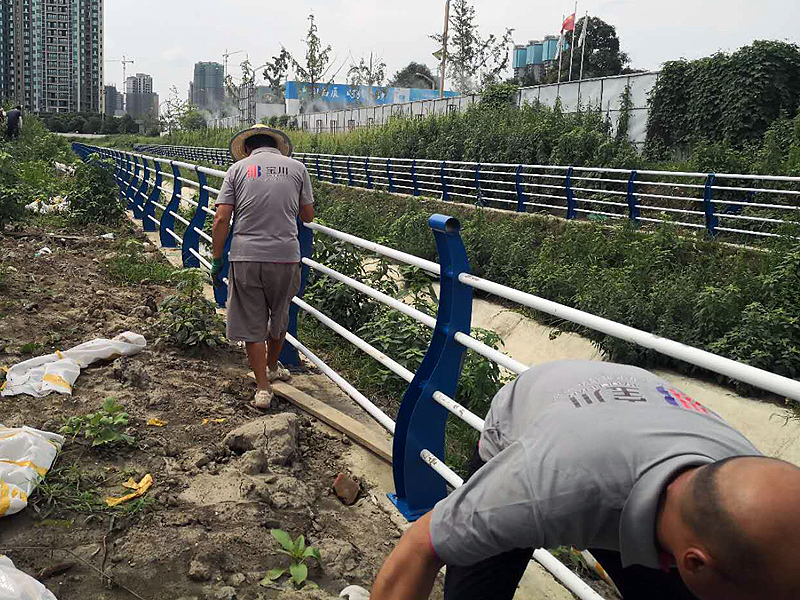 青白江河道护栏